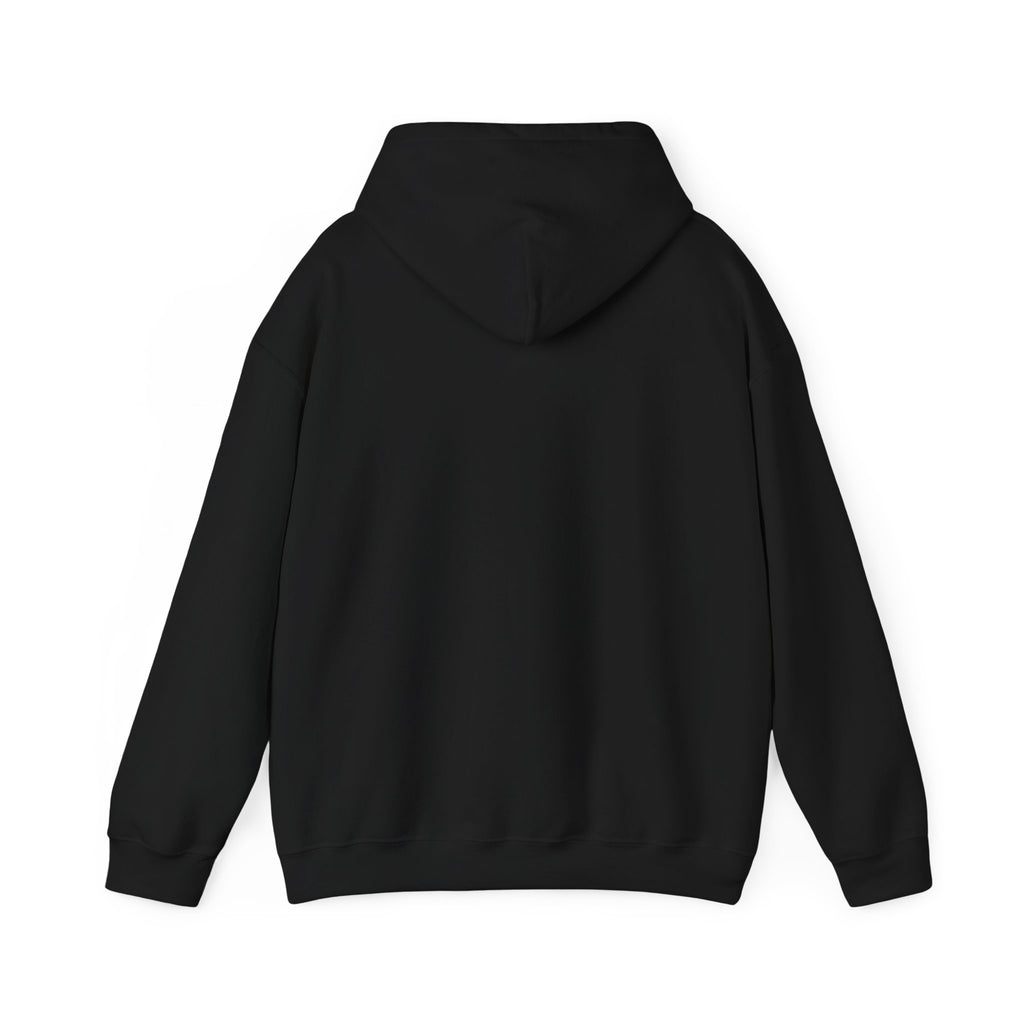 Hoodie — Official Dink Vault