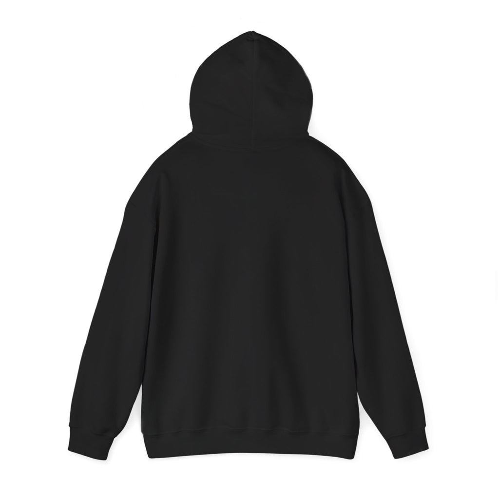 Hoodie — Official Dink Vault