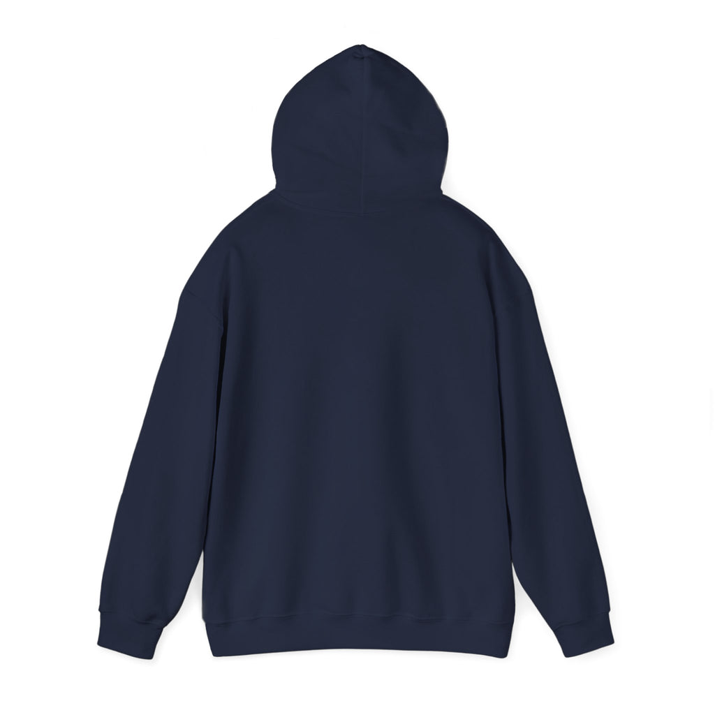 Hoodie — Official Dink Vault