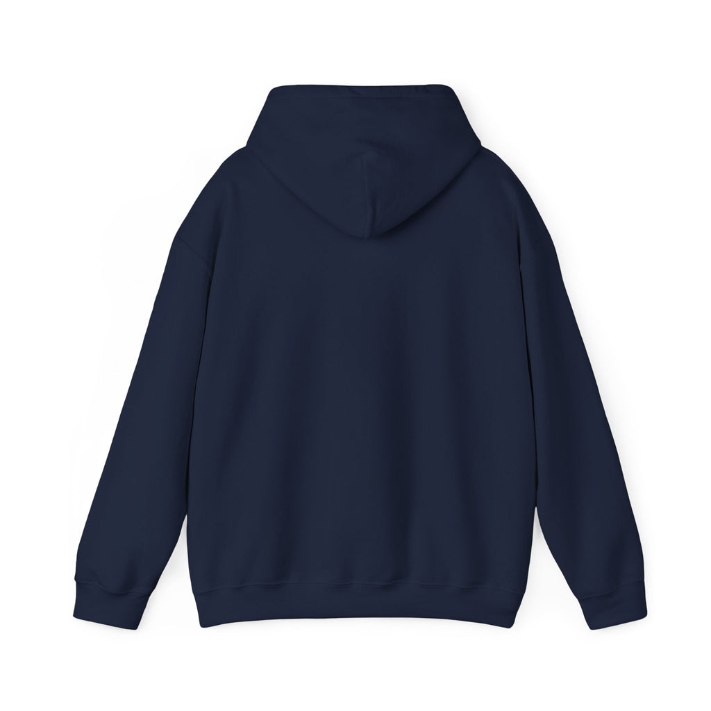 Hoodie — Official Dink Vault
